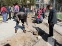 گزارش تصویری مراسم روز درختکاری